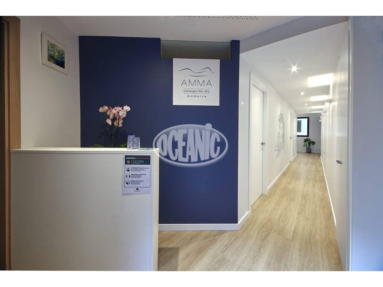 Local comercial en lloguer a La Massana