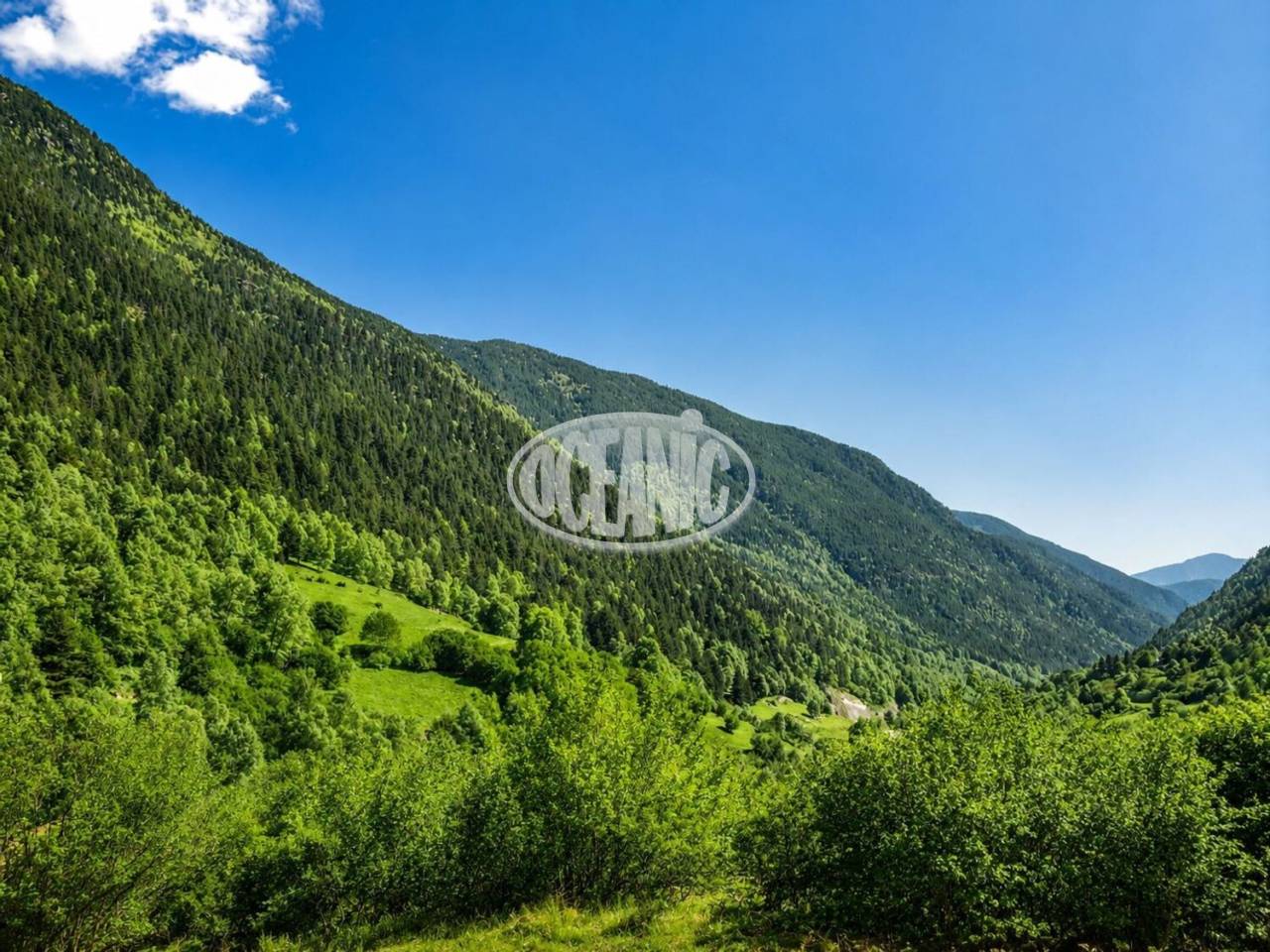 Exclusiva Planta Baixa de Luxe a Ordino – El Serrat