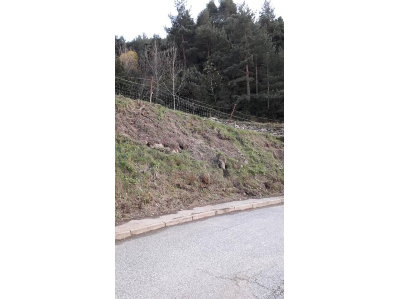 Terreno en venta a la carretera de la *Peguera - San Julià