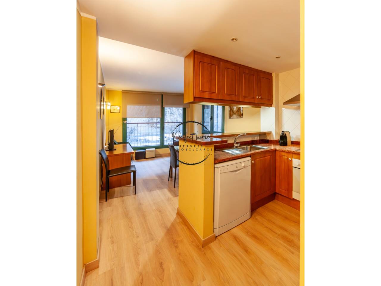 BONIC APARTAMENT EN VENDA A CANILLO