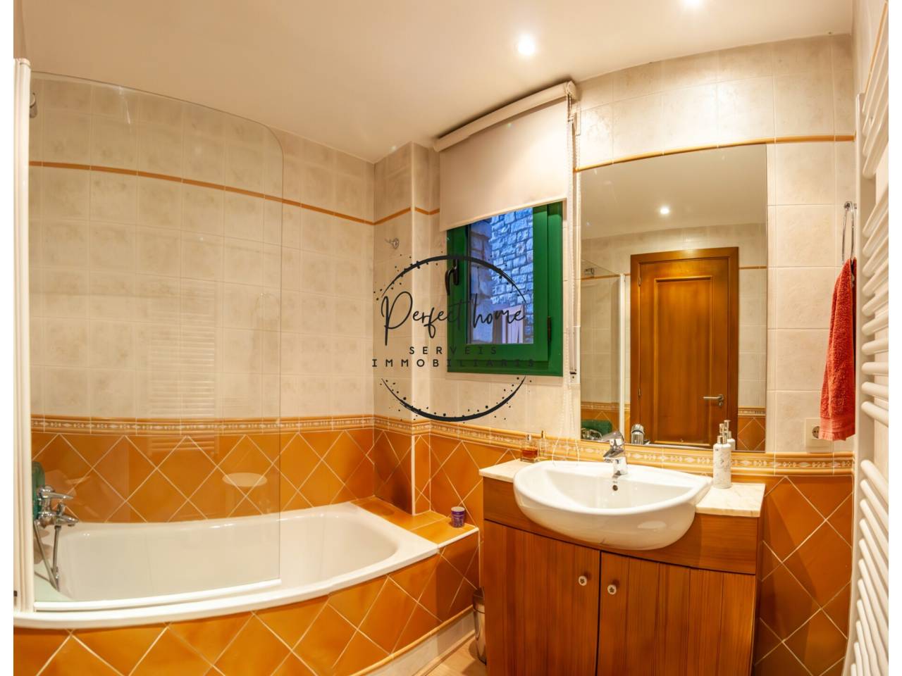BONIC APARTAMENT EN VENDA A CANILLO
