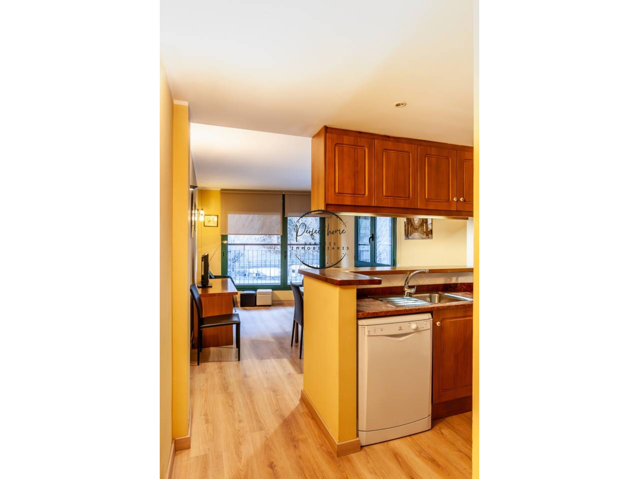 BONIC APARTAMENT EN VENDA A CANILLO