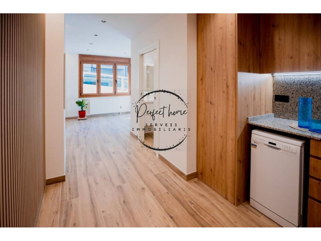 ACOLLIDOR PIS EN VENDA A ENCAMP