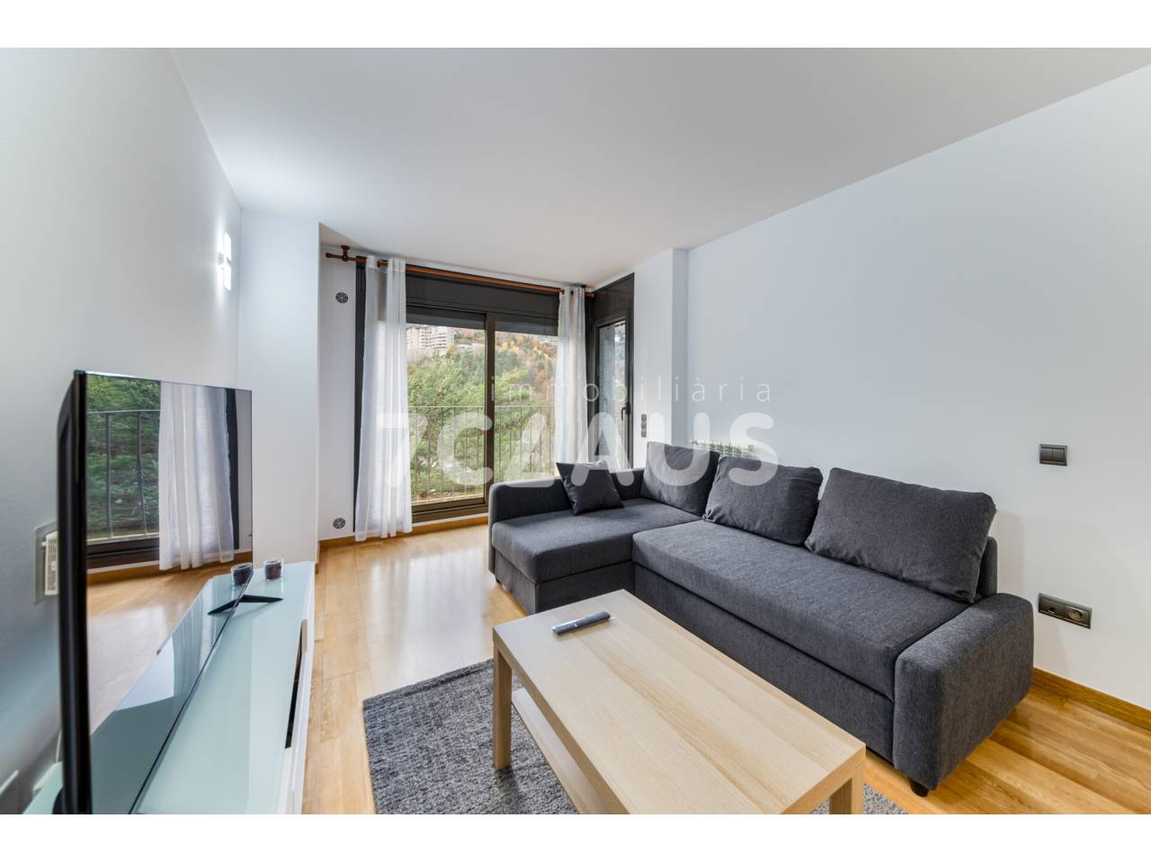 Apartament en venda situat a Anyós