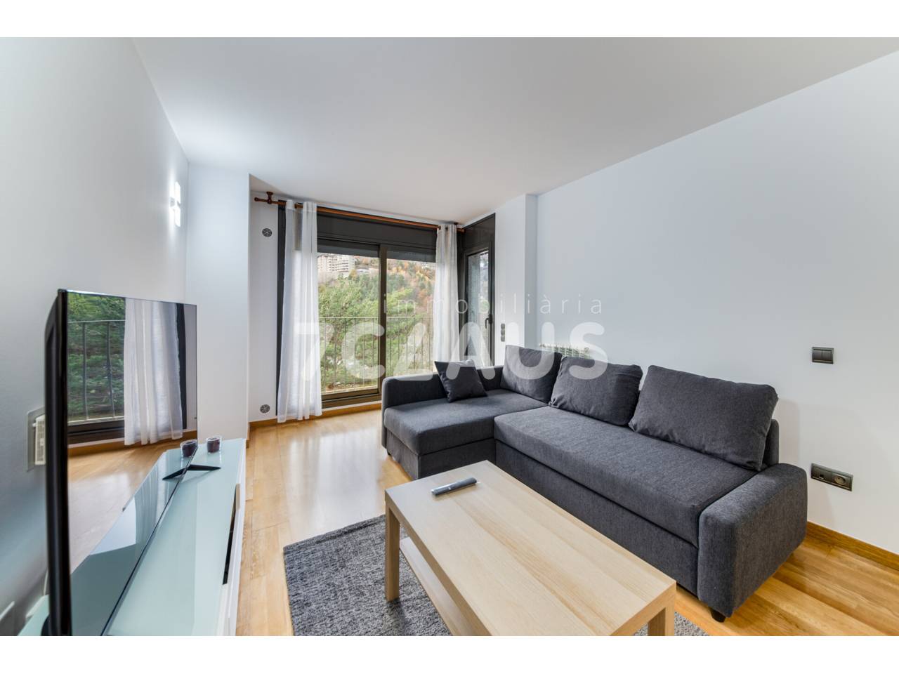 Apartament en loguer situat a Anyós