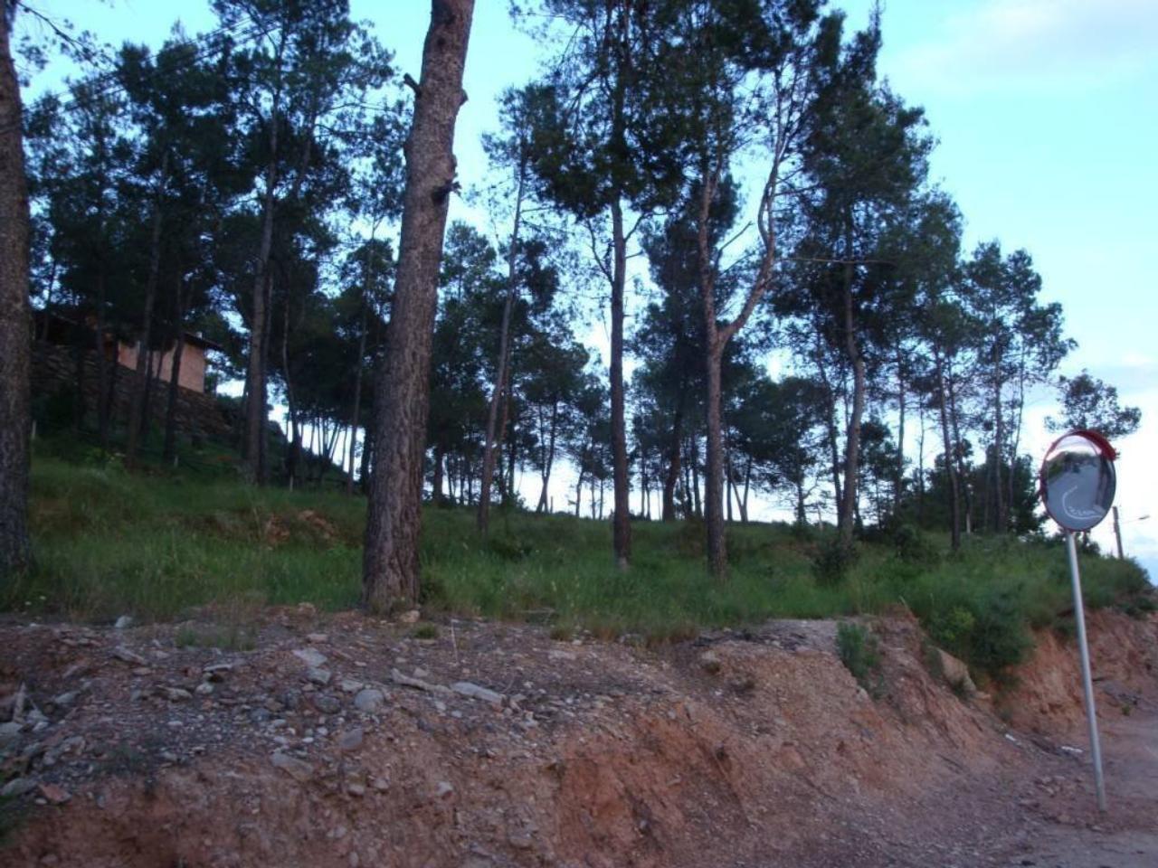 Terreno en ZONA EL SERRAT