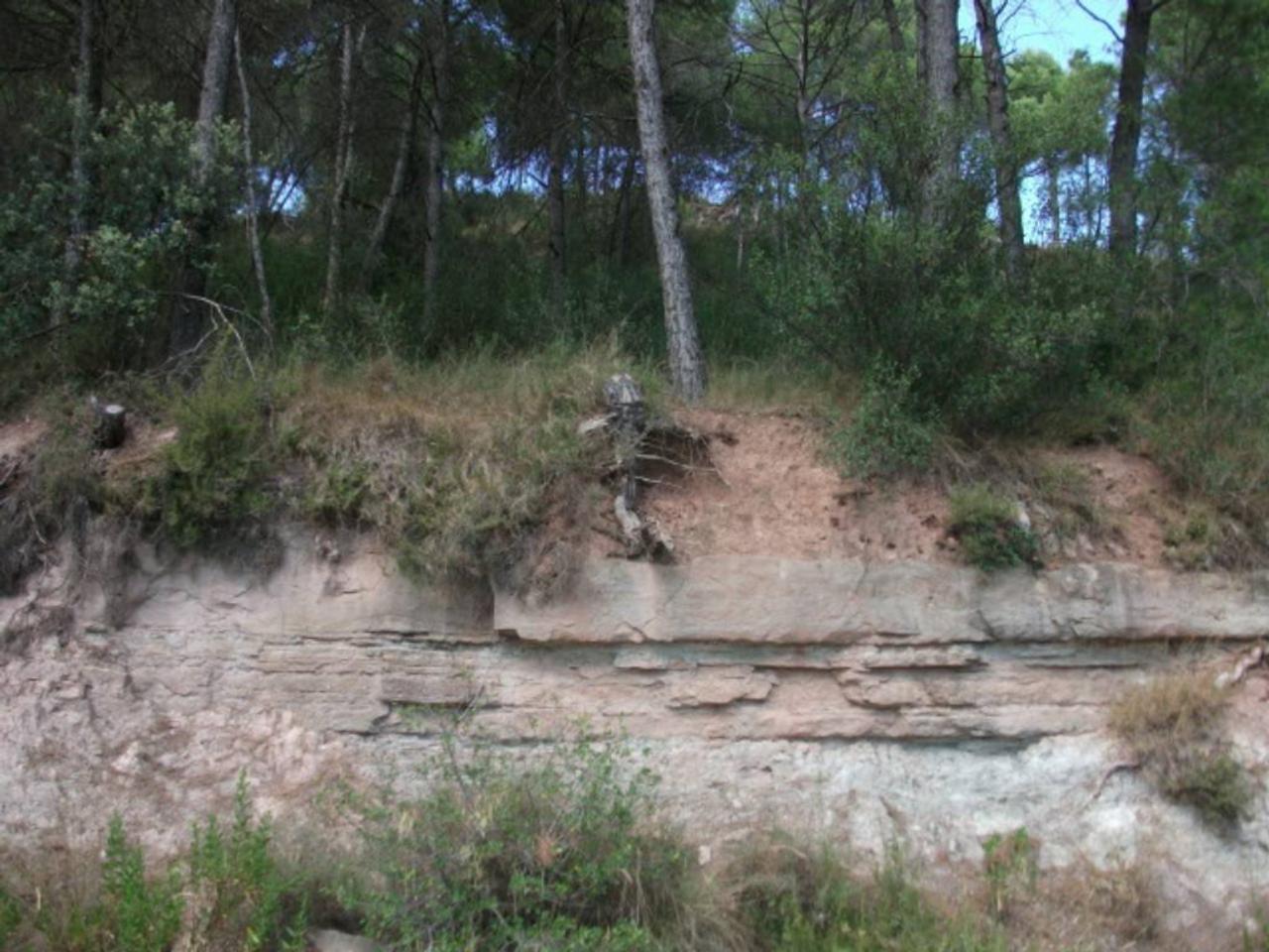 Terreno en ZONA LAS BUCARDES