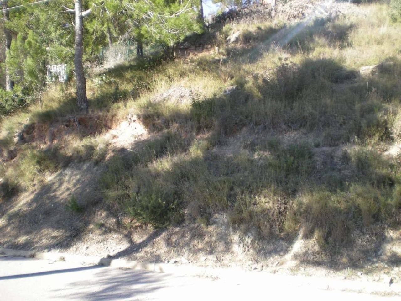 Terreno en EL SERRAT