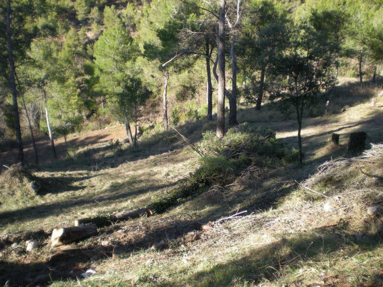 Terreno en EL SERRAT