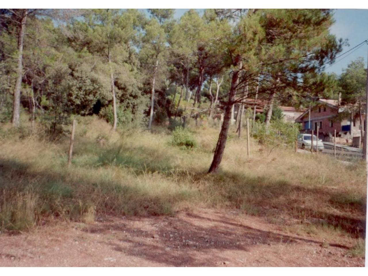 Terreno en URBANIZACIÓN LA FIGUEROLA