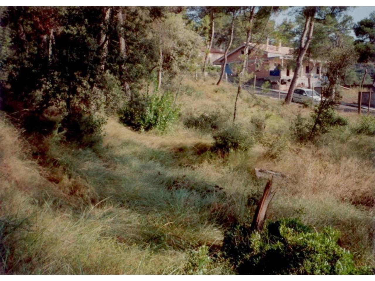 Terreno en URBANIZACIÓN LA FIGUEROLA