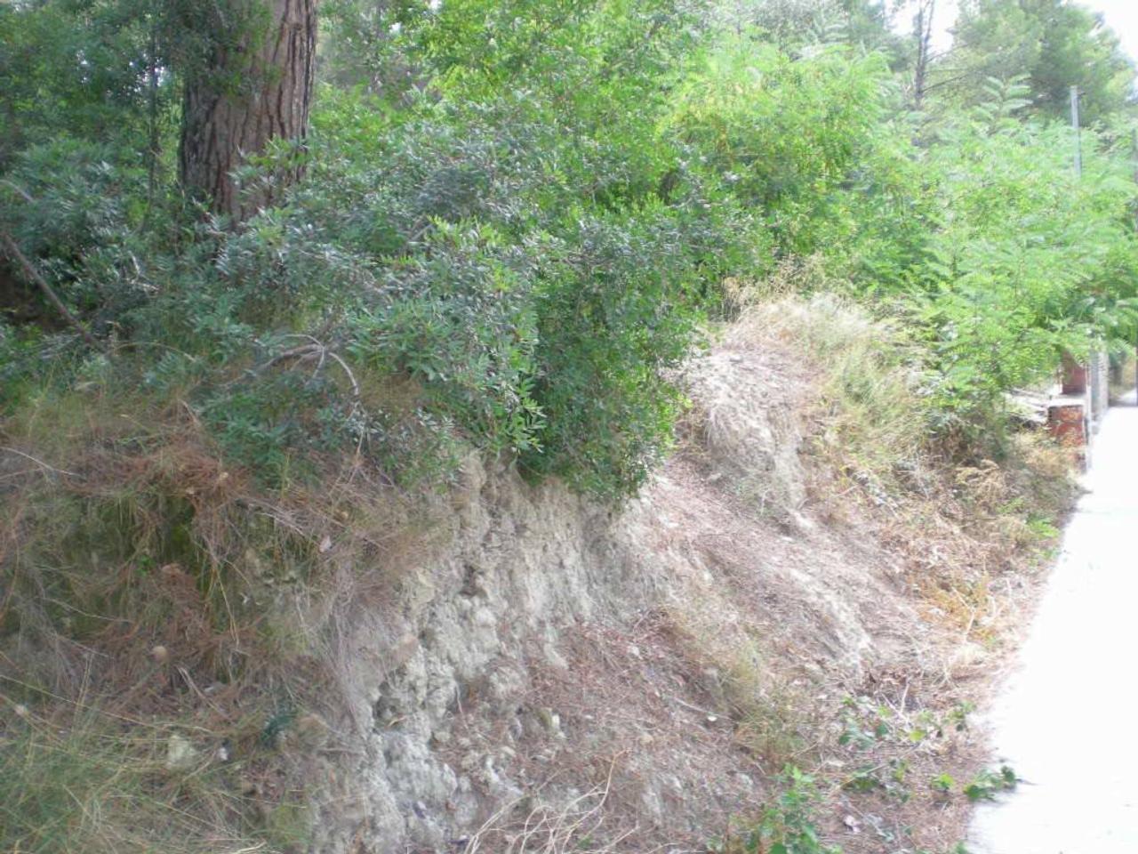 Terreno en URB. MAS PLANOI