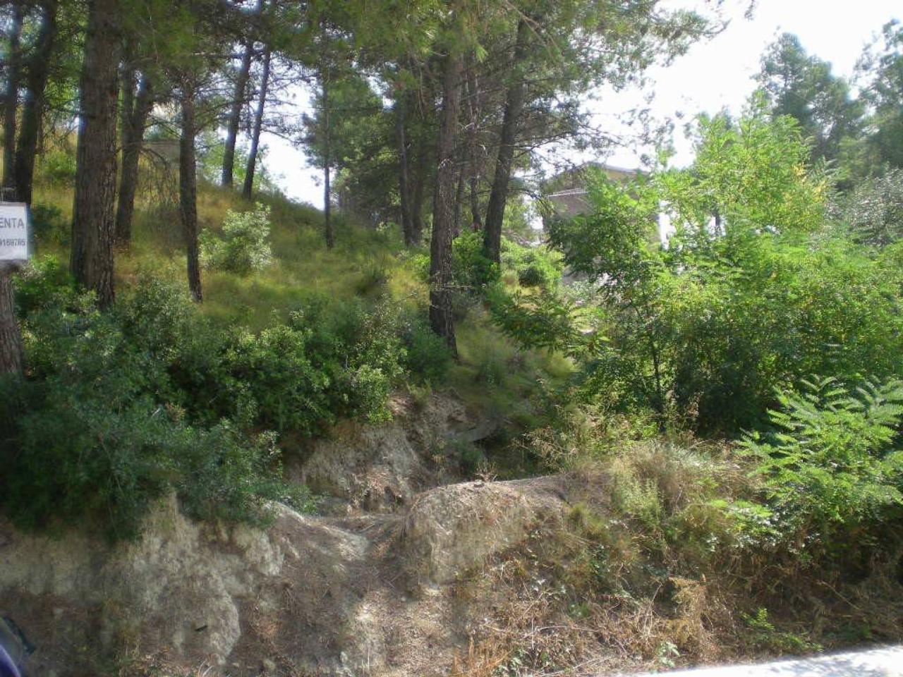 Terreno en URB. MAS PLANOI