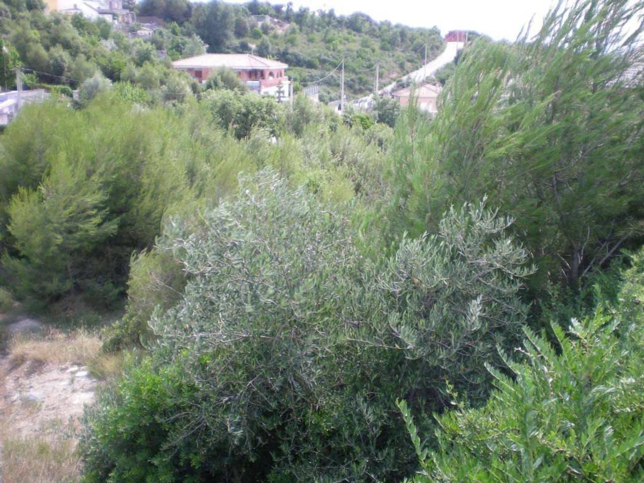 Terreno en URB. RIVER PARK