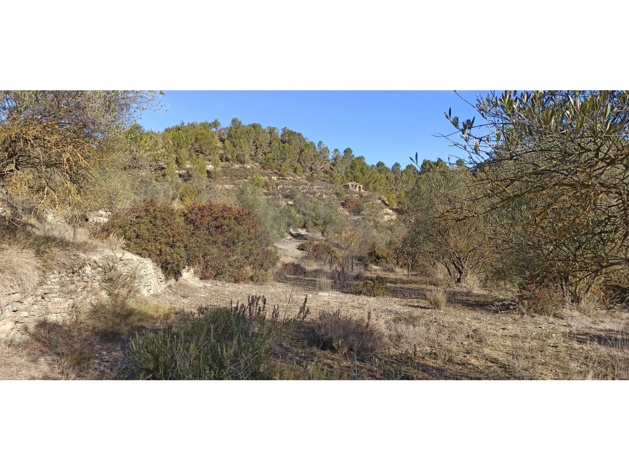 Casa en ZONA CAN FONT (Manresa)