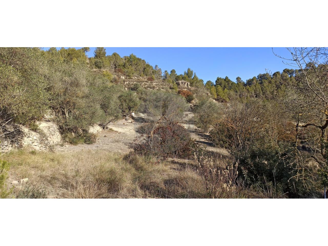 Casa en ZONA CAN FONT (Manresa)