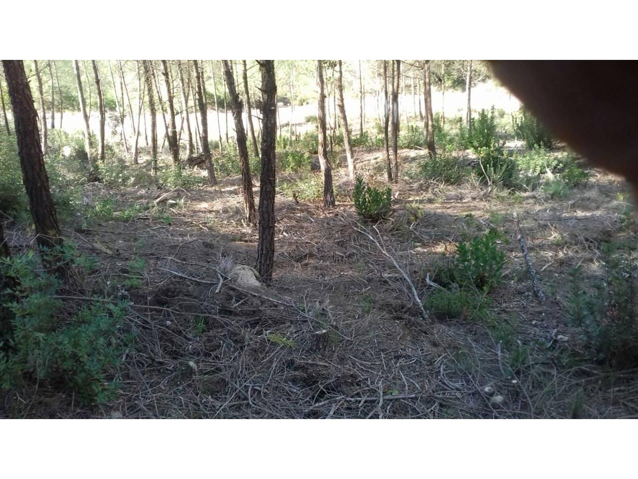 Terreno en Urb. River Park (El Pont de Vilomara i Rocafort)