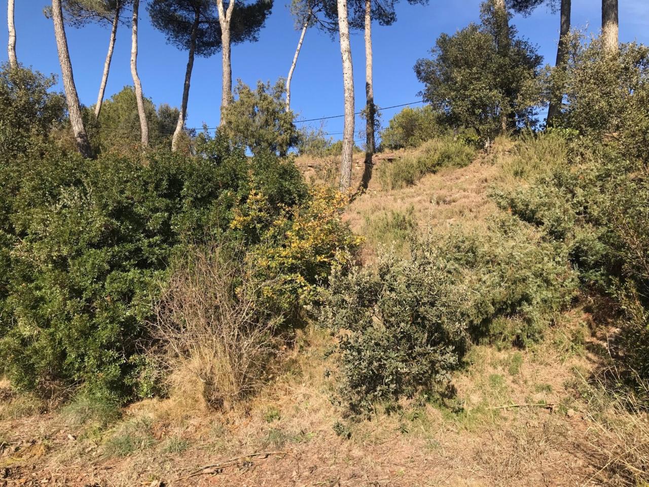 Terreno en Castellnou de Bages