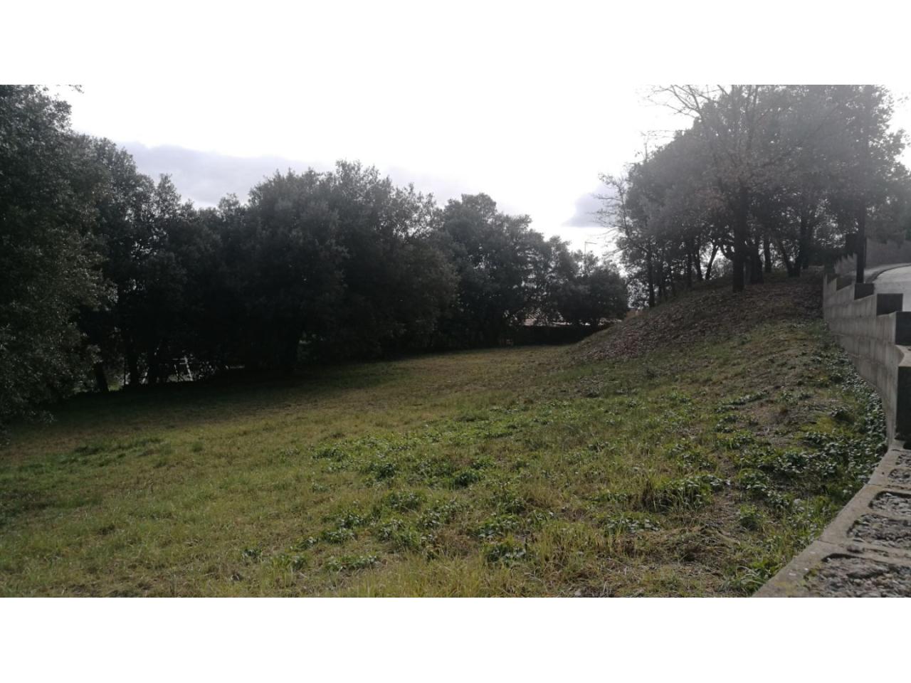 Terreno en PLAÇA CATALUNYA