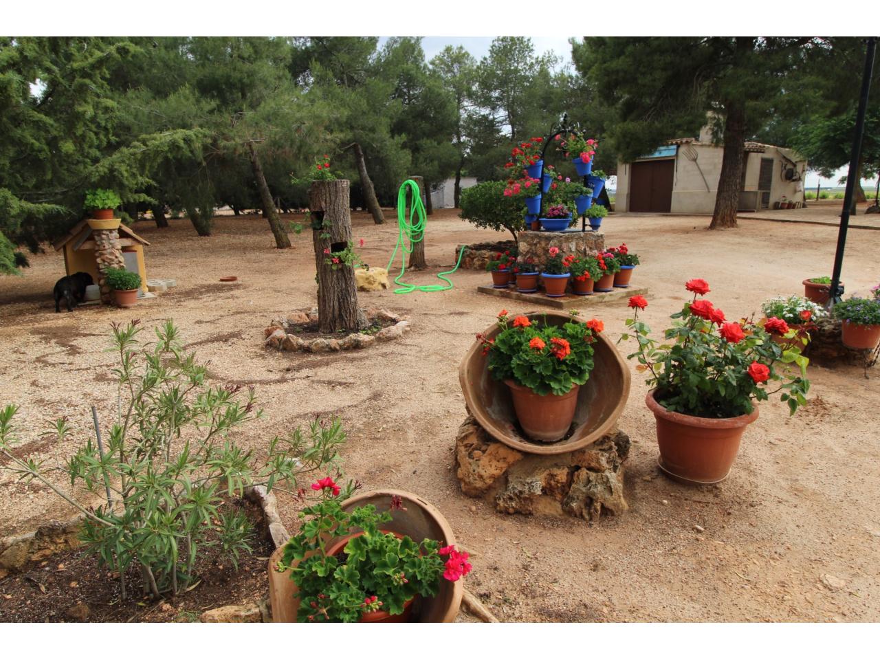 INMOBILIARIA CASAS & FINCAS Casa de campo en venta en Villarrobledo