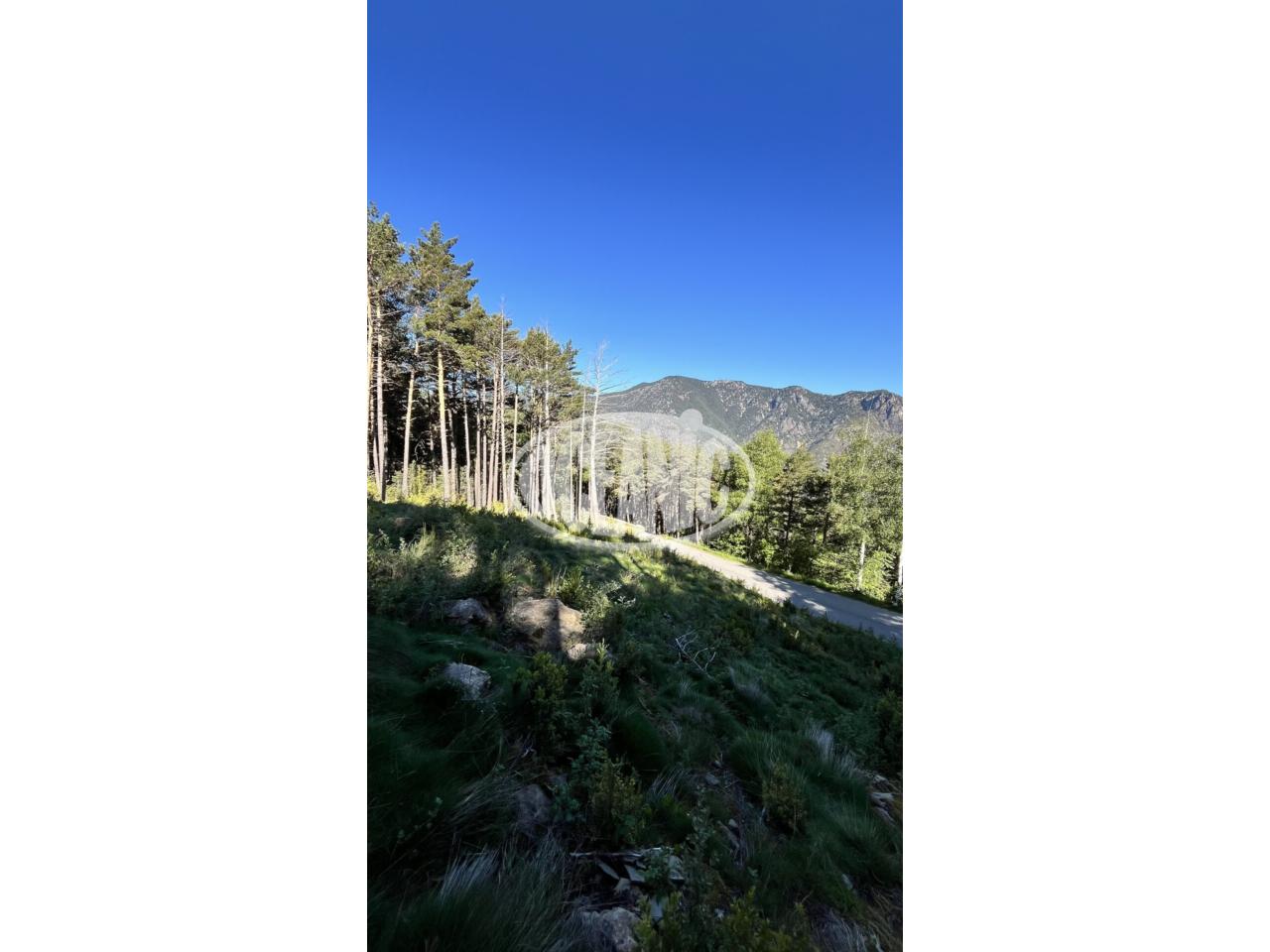 Terreny en venda a Auvinyà, Sant Julià de Lòria · 8 de 12