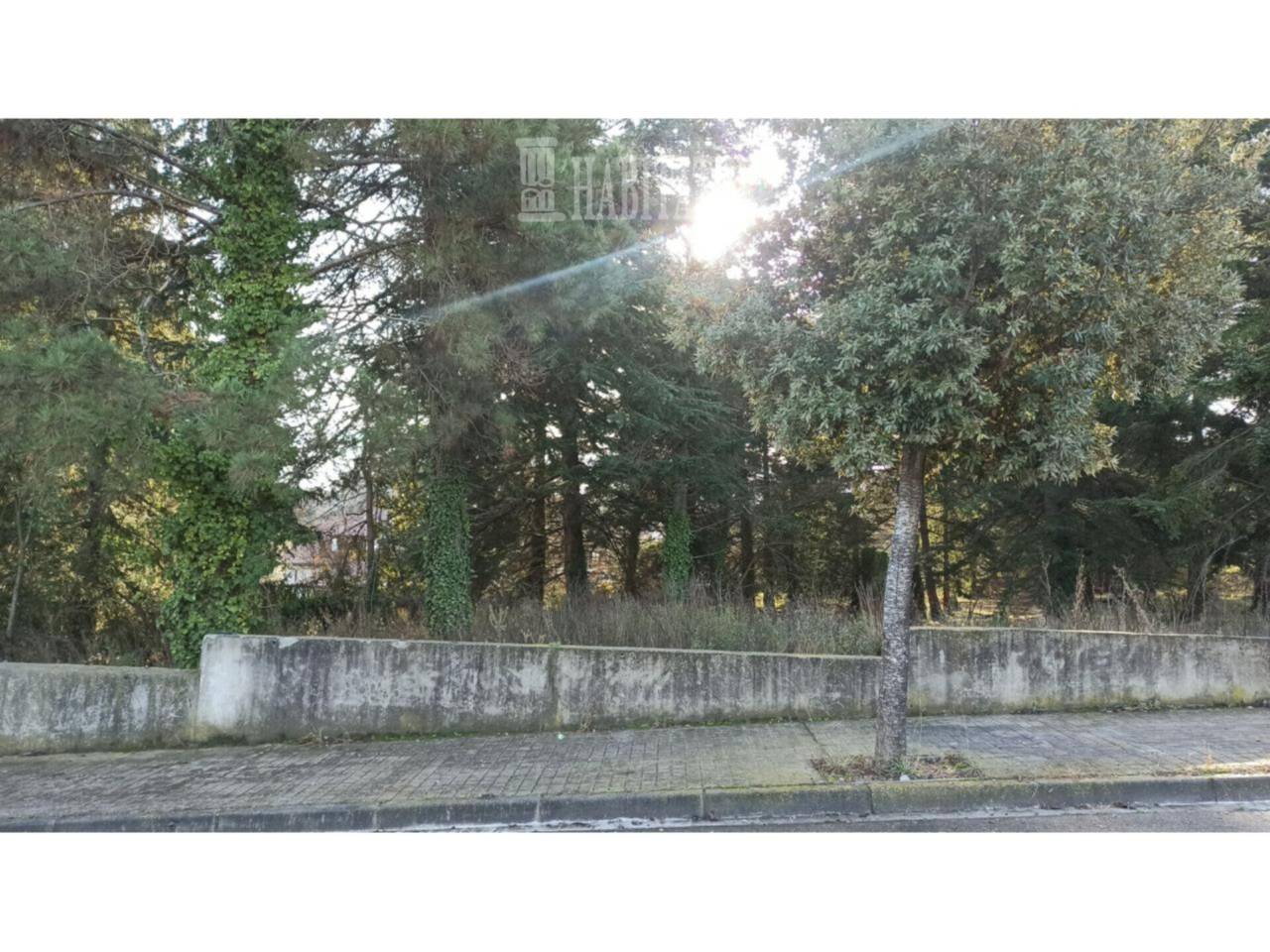 Tona