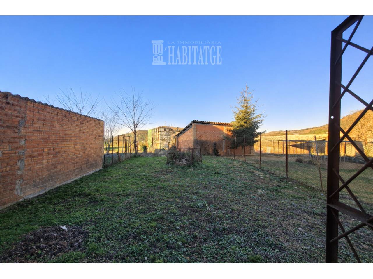 Collsuspina