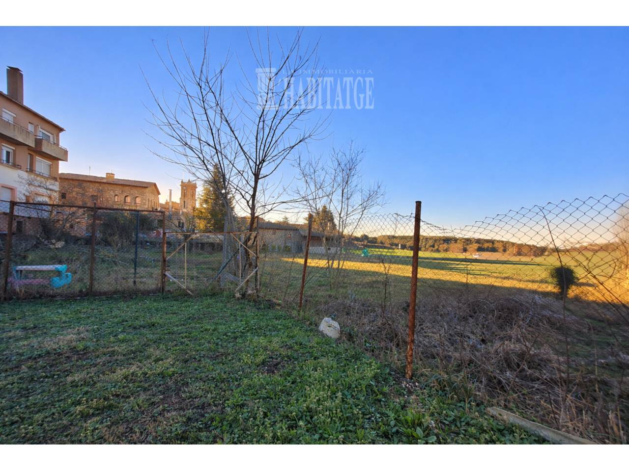 Collsuspina