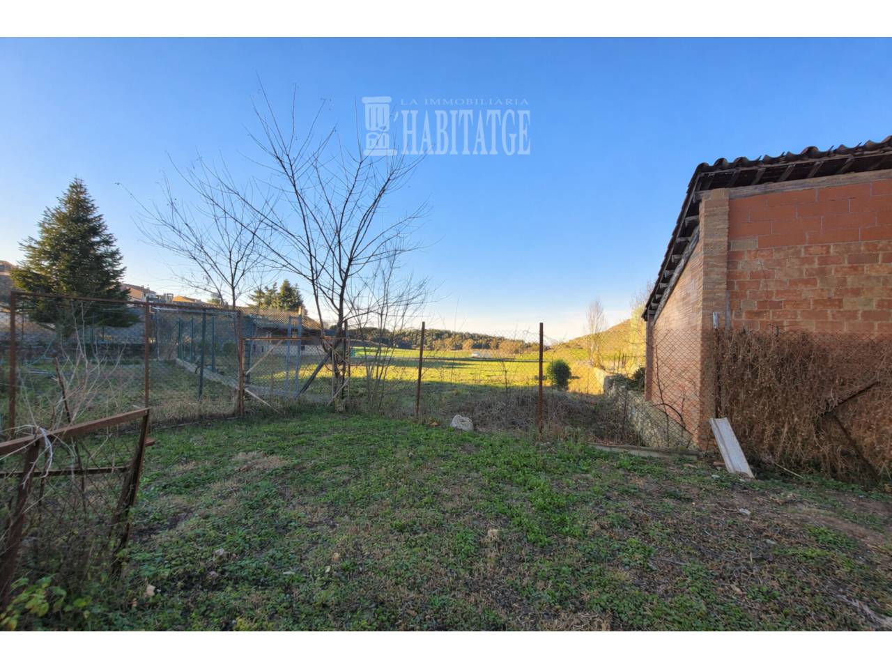 Collsuspina