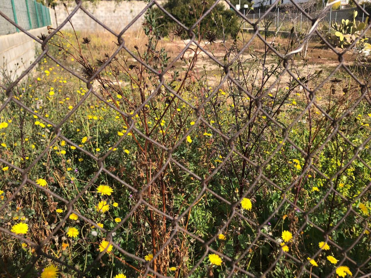 ground en roda-de-bera · roda-de-bera 55000.00€