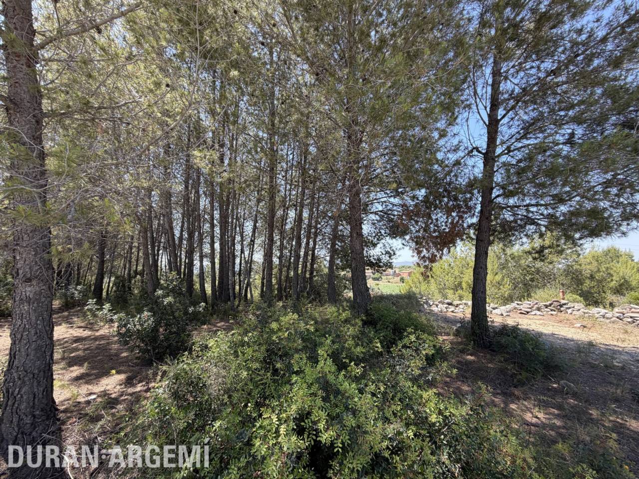 Sòl urbà no consolidat en venda