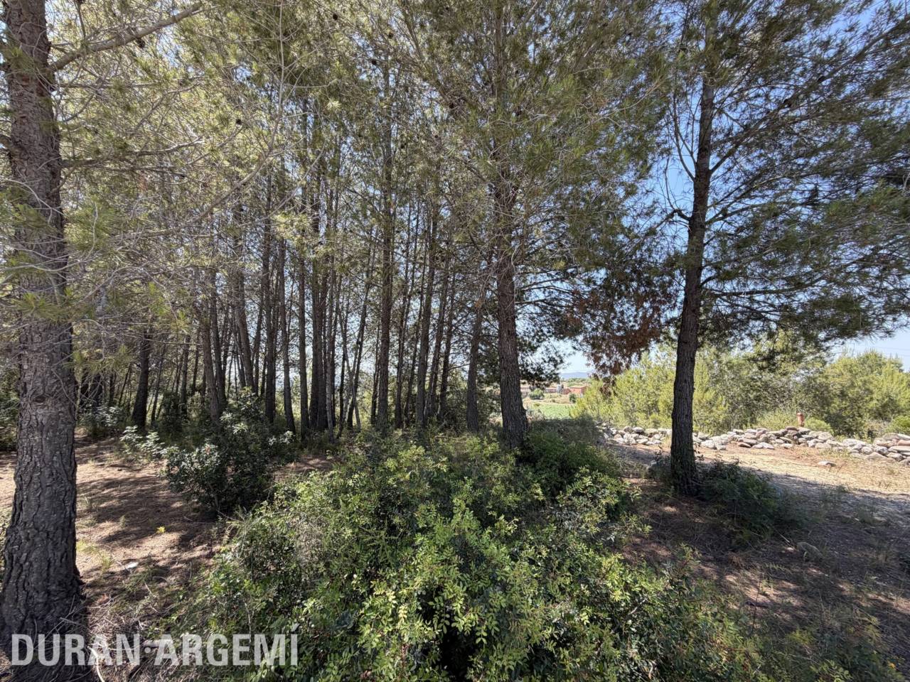 Sòl urbà no consolidat en venda