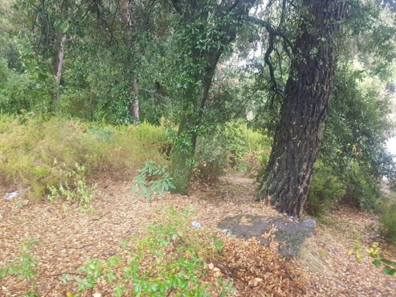 terrenos en matadepera · matadepera 113000.00€