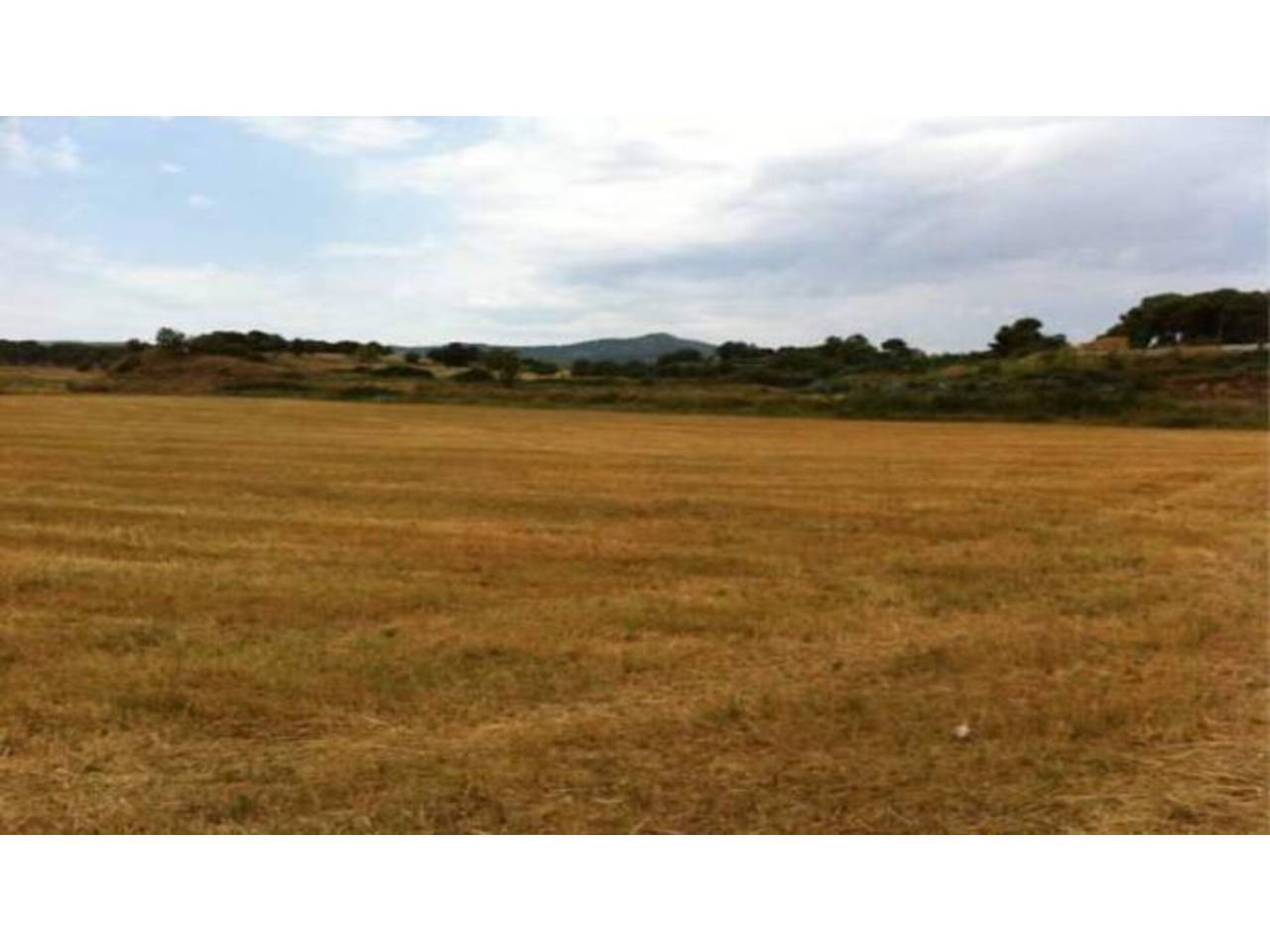 terrenos en terrassa · can-palet 2000100.00€