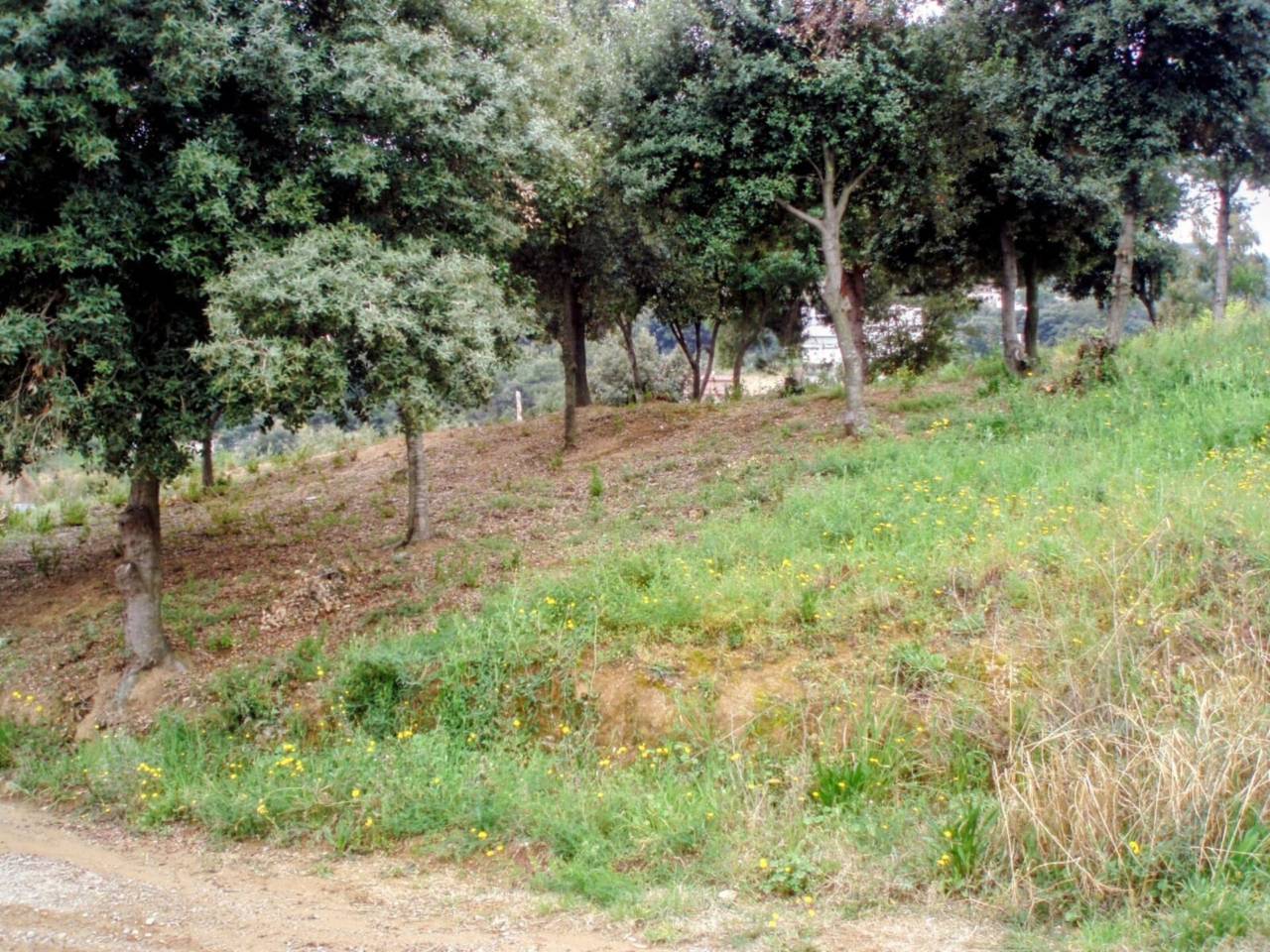 inmueble_18349774128.170800_7