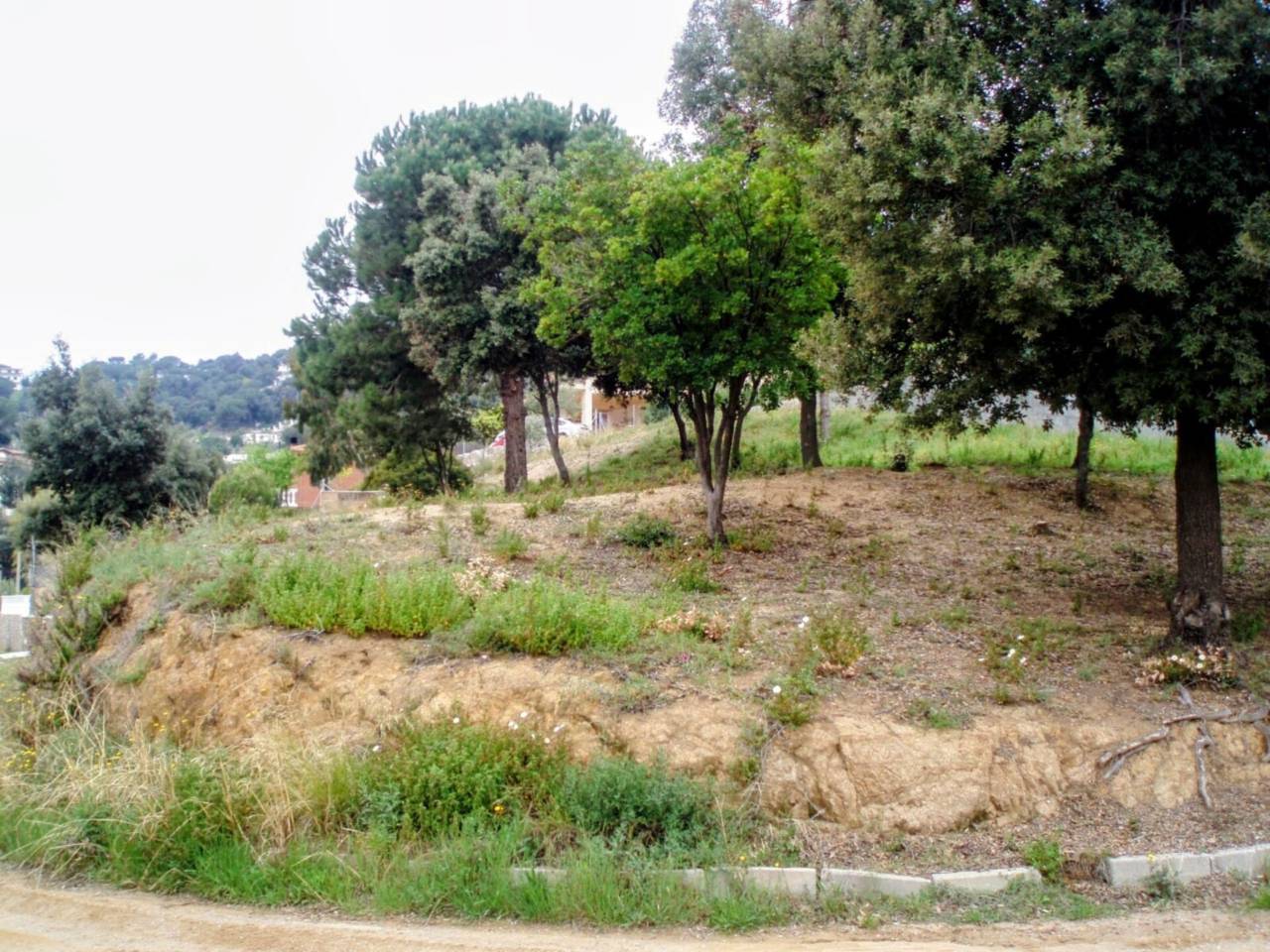 inmueble_18349774128.170800_5