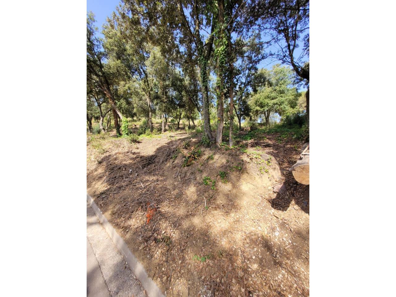 Solar - Castellar del Vallès, Sant Feliu del Racó, Sant Feliu del Racó