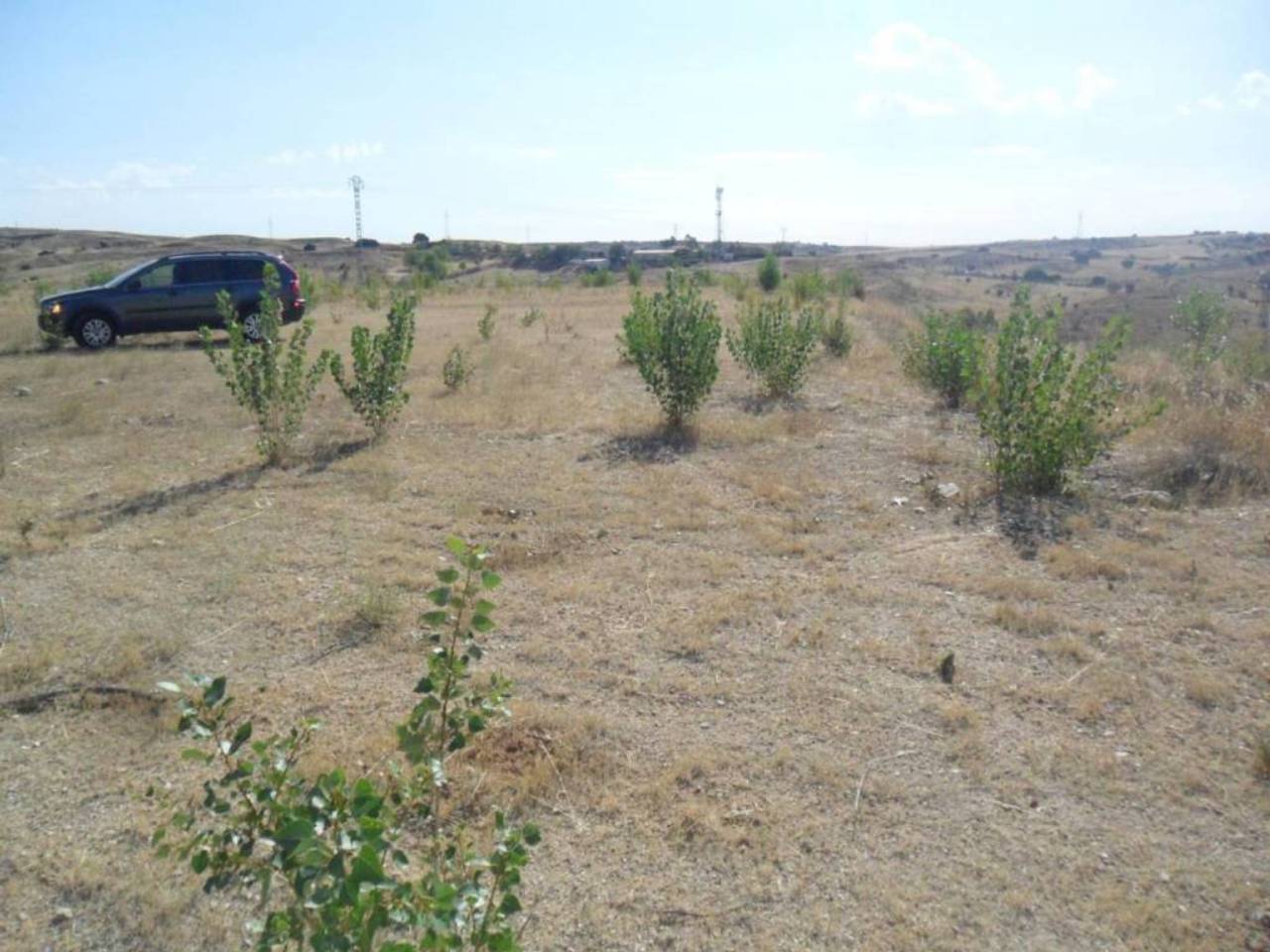 imagen no disponible