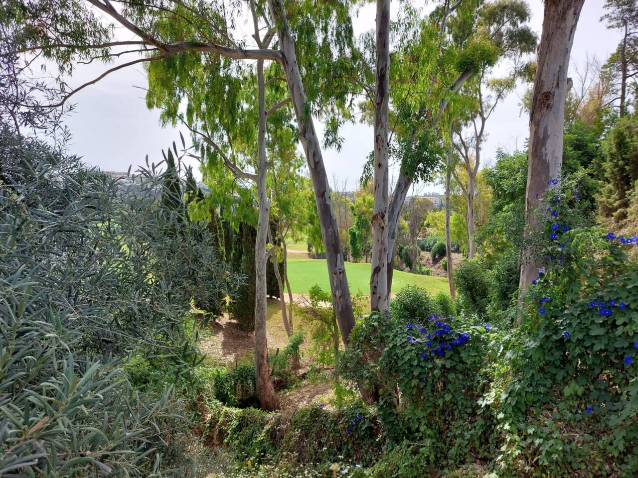 Finca rústica en venta en Benahavís en Zona: Los Flamingos