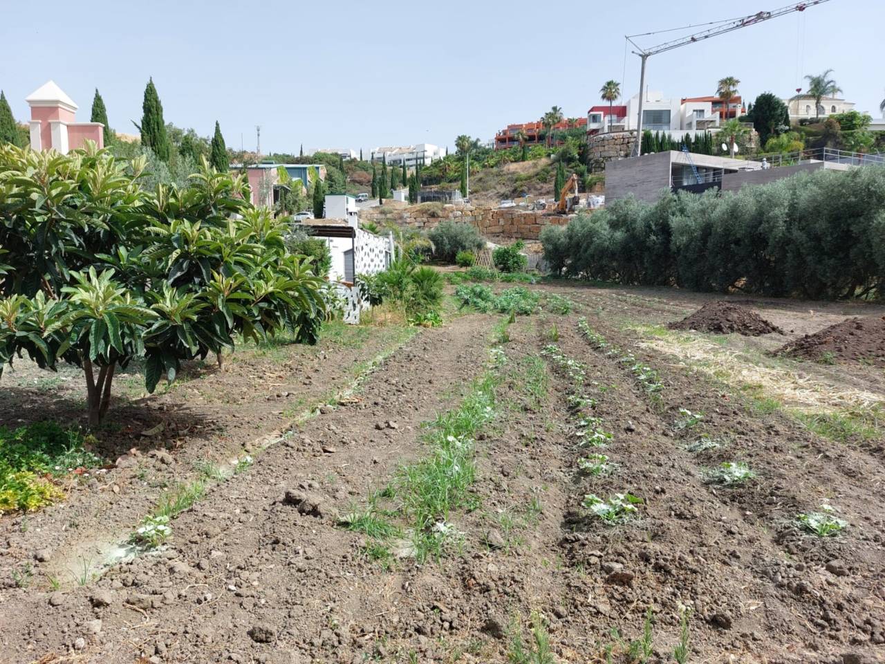 Finca rústica en venta en Benahavís en Zona: Los Flamingos