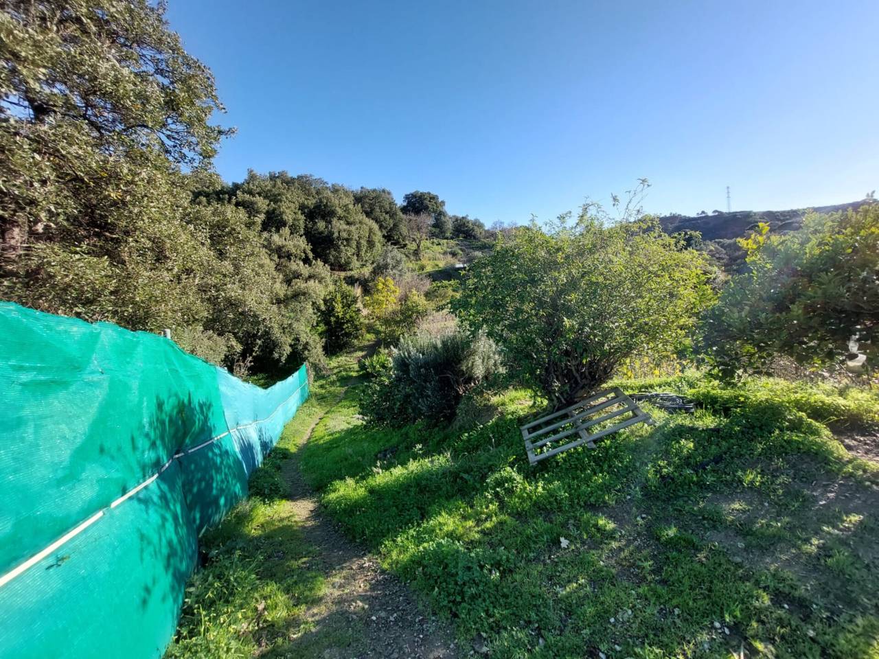 Finca rústica en venta en Estepona en Zona: Altos de Estepona