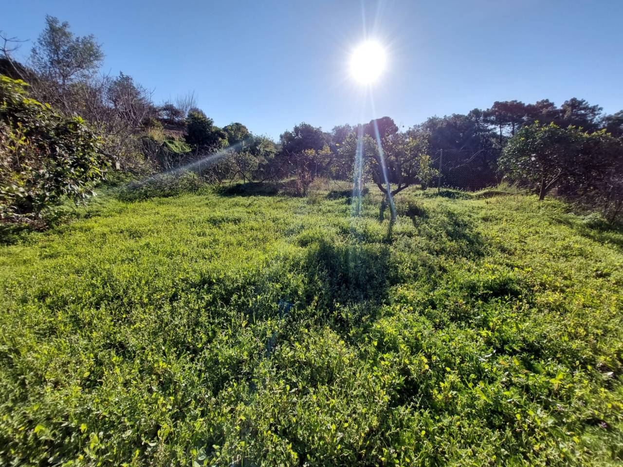 Finca rústica en venta en Estepona en Zona: Altos de Estepona