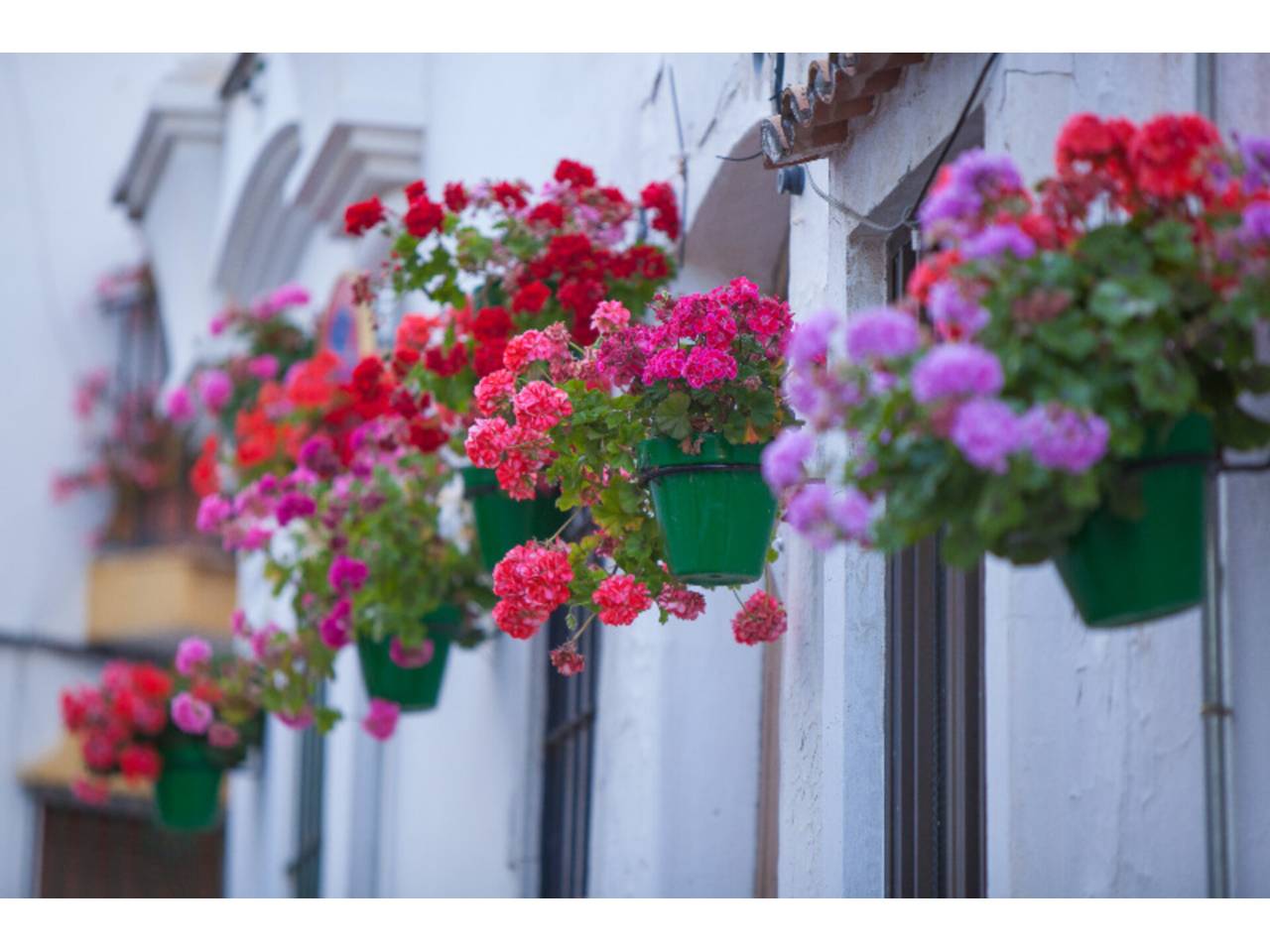 Terreno en venta en Estepona en Zona: Zona Avenida de Andalucía