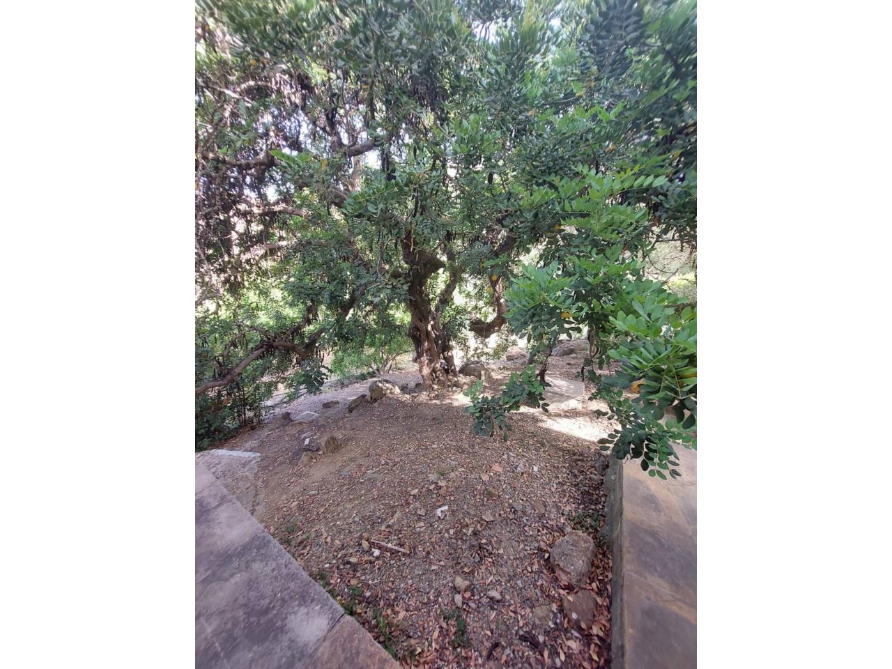 Casa en venta en Estepona en Zona: Altos de Estepona