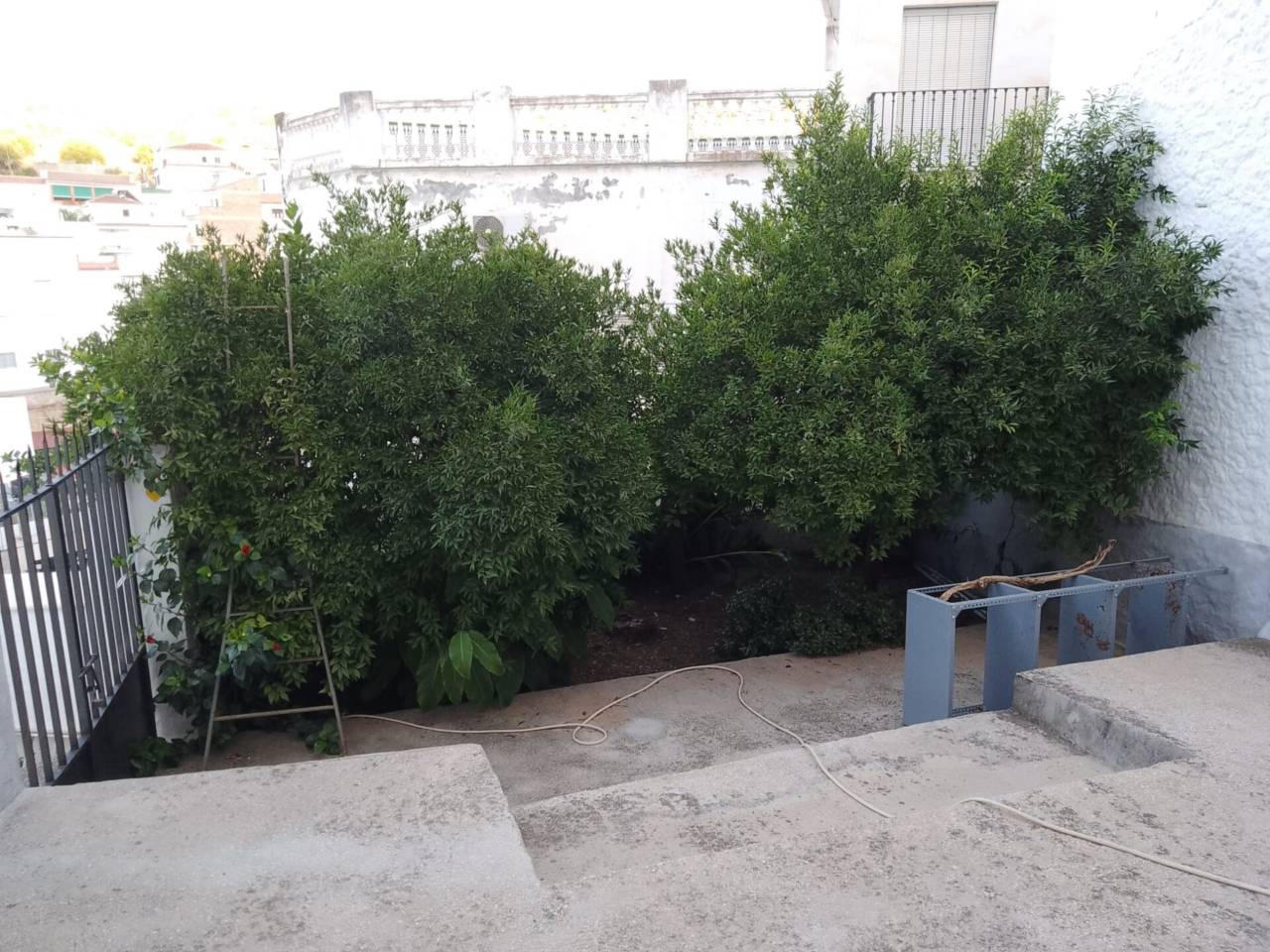 Casa en venta en Tolox en Calle: Animas