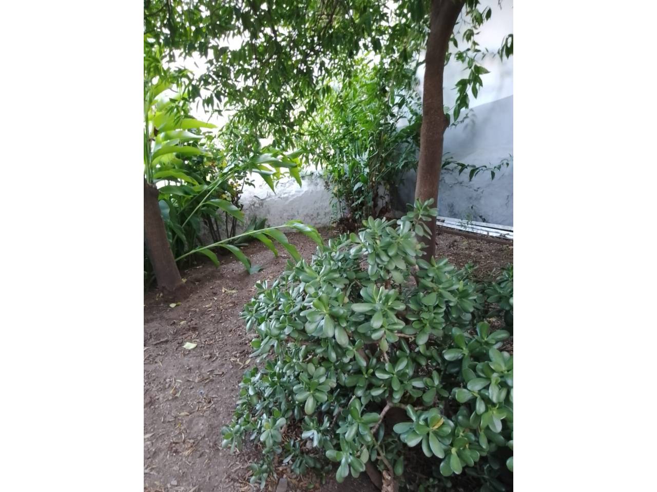 Casa en venta en Tolox en Calle: Animas