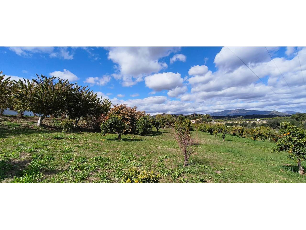 Finca rústica en venta en Estepona en Zona: Selwo