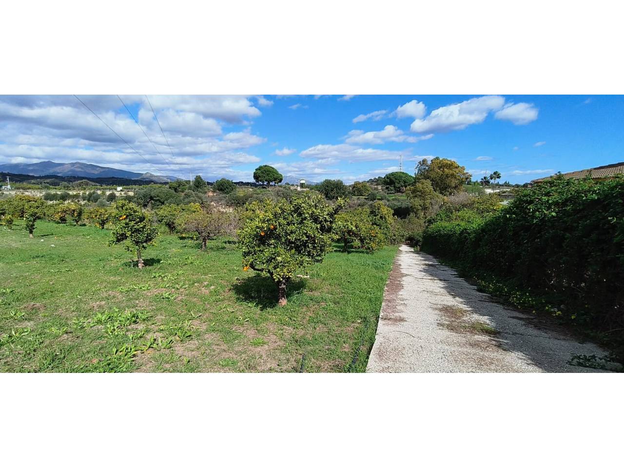 Finca rústica en venta en Estepona en Zona: Selwo