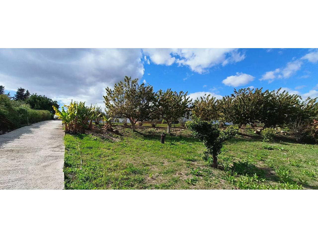Finca rústica en venta en Estepona en Zona: Selwo