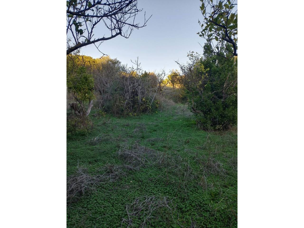 Finca rústica en venta en Estepona en Zona: Selwo